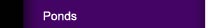 Ponds